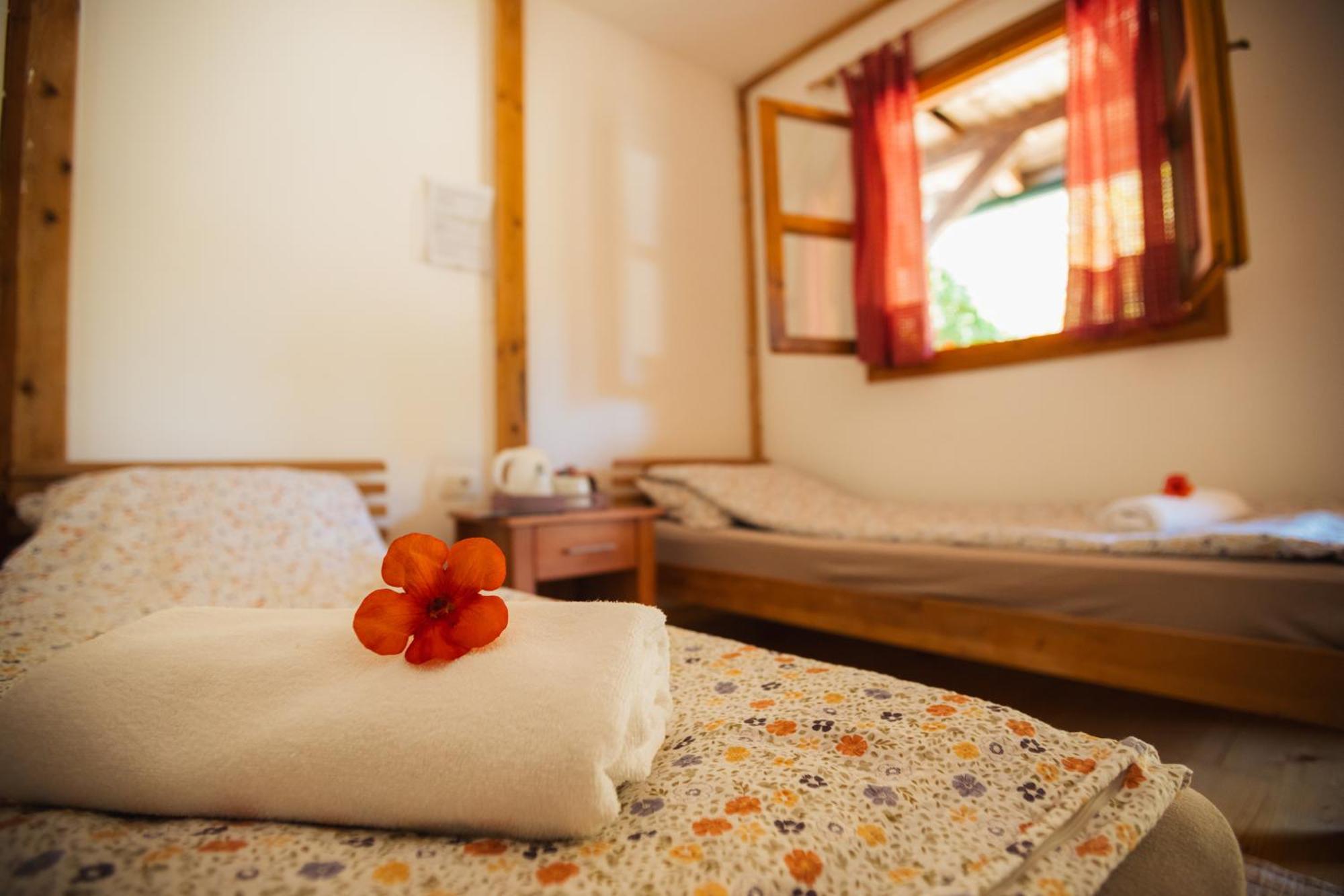 Grab Ethno Village And Camp Scepan-Polje Zewnętrze zdjęcie