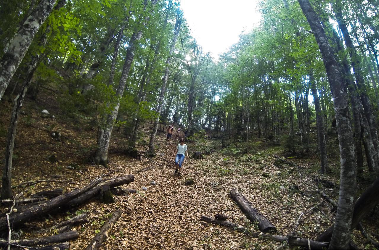 Grab Ethno Village And Camp Scepan-Polje Zewnętrze zdjęcie