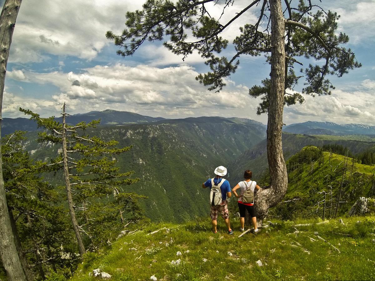 Grab Ethno Village And Camp Scepan-Polje Zewnętrze zdjęcie